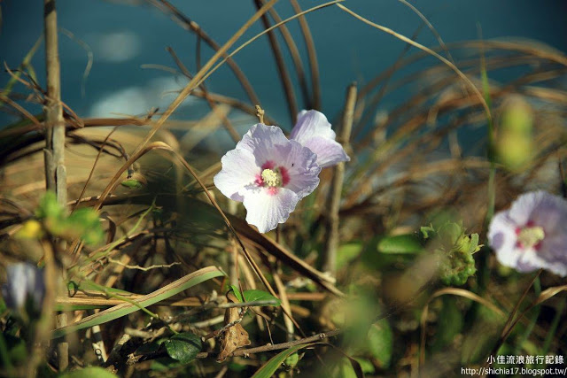 旅行 莫忘人助己助_img_2